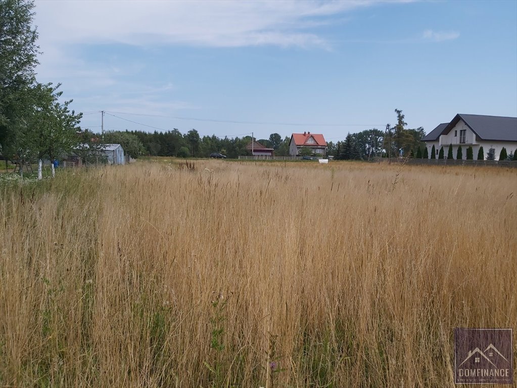 Działka budowlana na sprzedaż Skrzynka  1 300m2 Foto 5