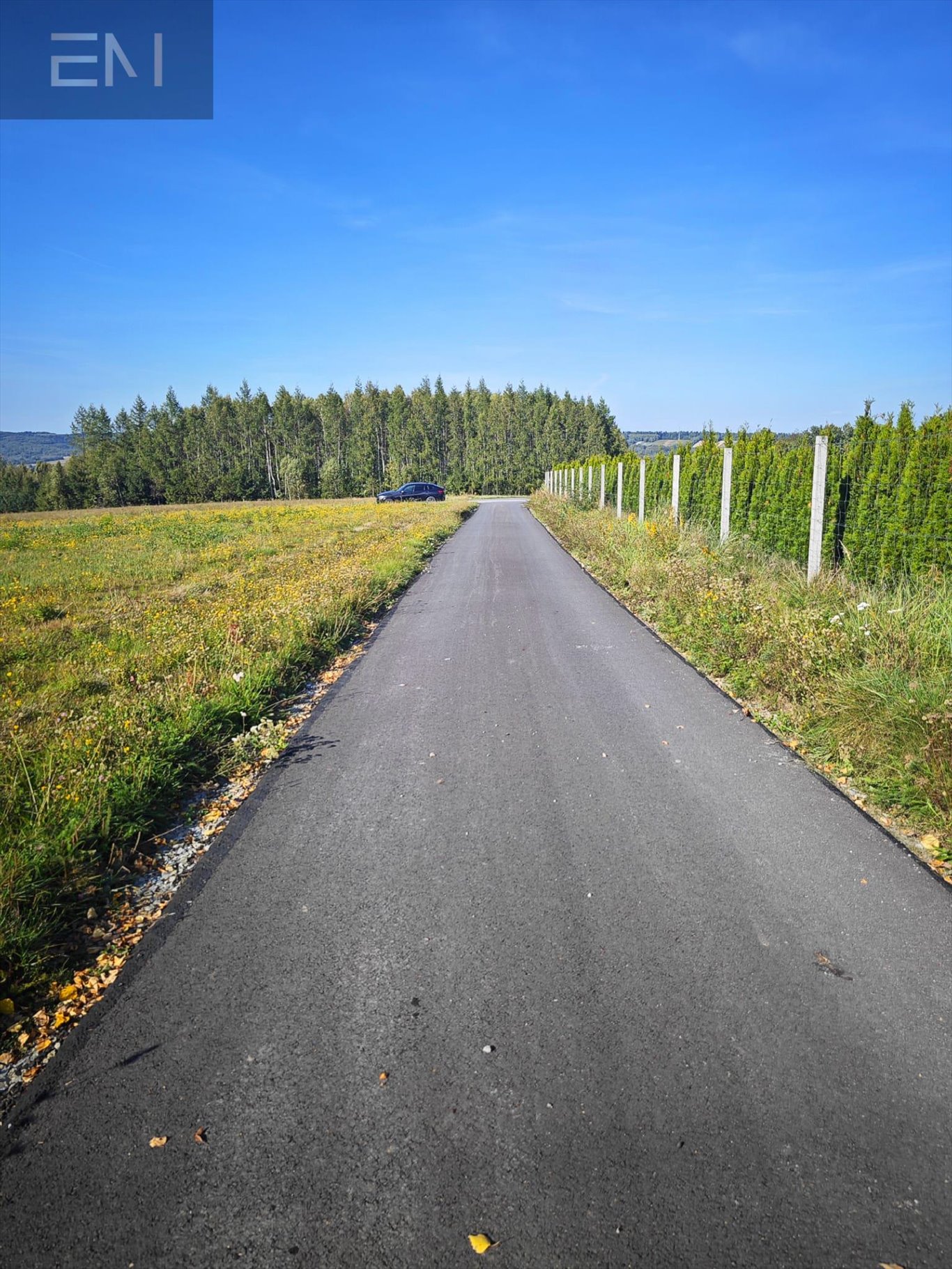 Działka budowlana na sprzedaż Harta  3 766m2 Foto 7