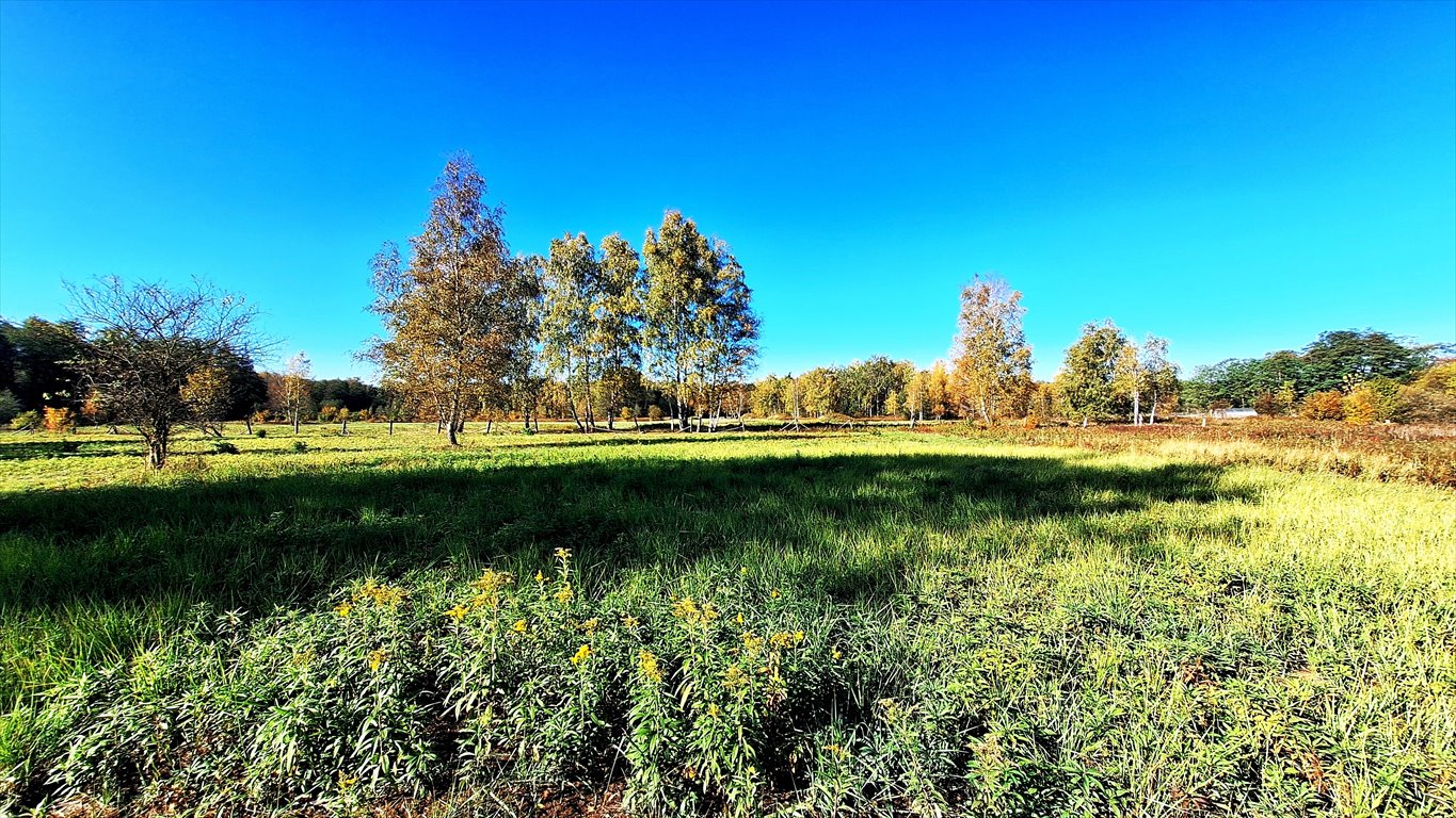 Działka budowlana na sprzedaż Łomianki, Łomianki, Dąbrowa, Prosta  1 101m2 Foto 7