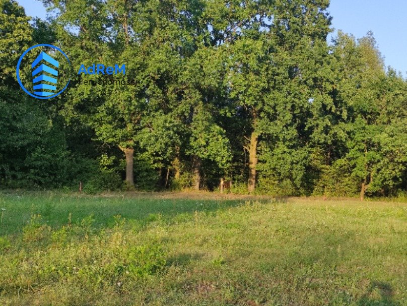 Działka budowlana na sprzedaż Słomczyn  1 637m2 Foto 1