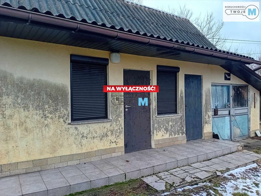 Działka inna na sprzedaż Pierzchnica, Pierzchnianka  6 500m2 Foto 3