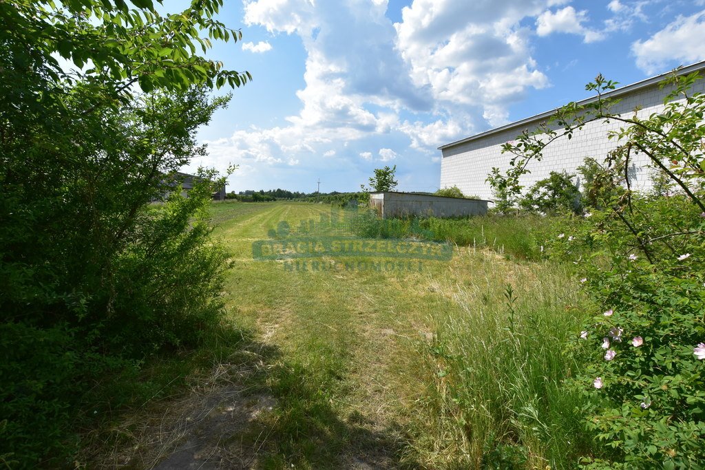 Działka siedliskowa na sprzedaż Pęcław  10 700m2 Foto 5