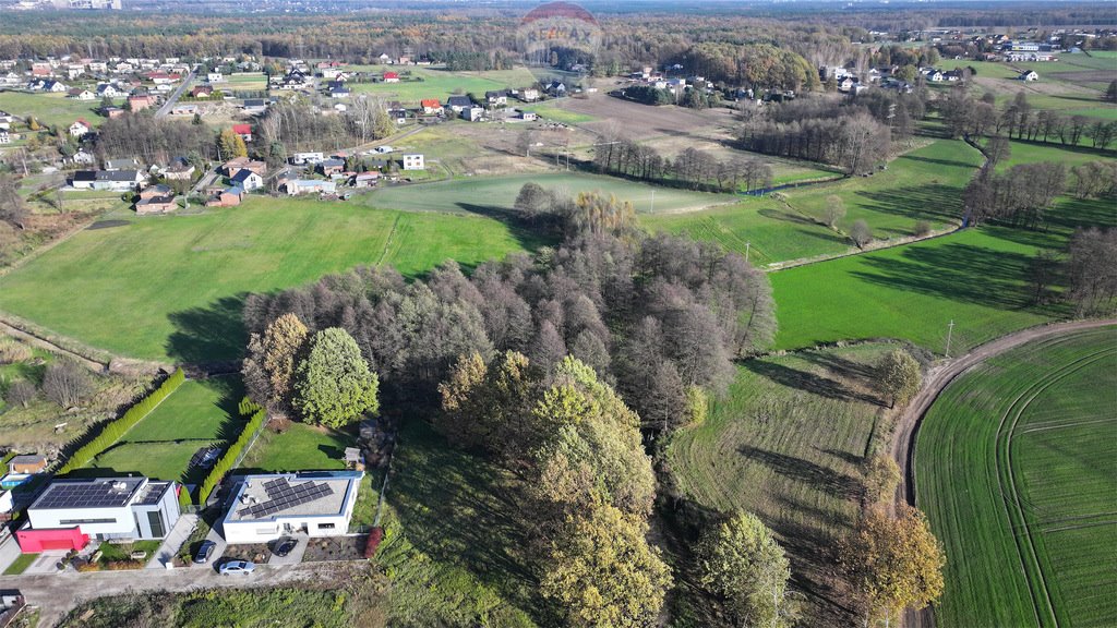 Działka budowlana na sprzedaż Mikołów  4 033m2 Foto 9