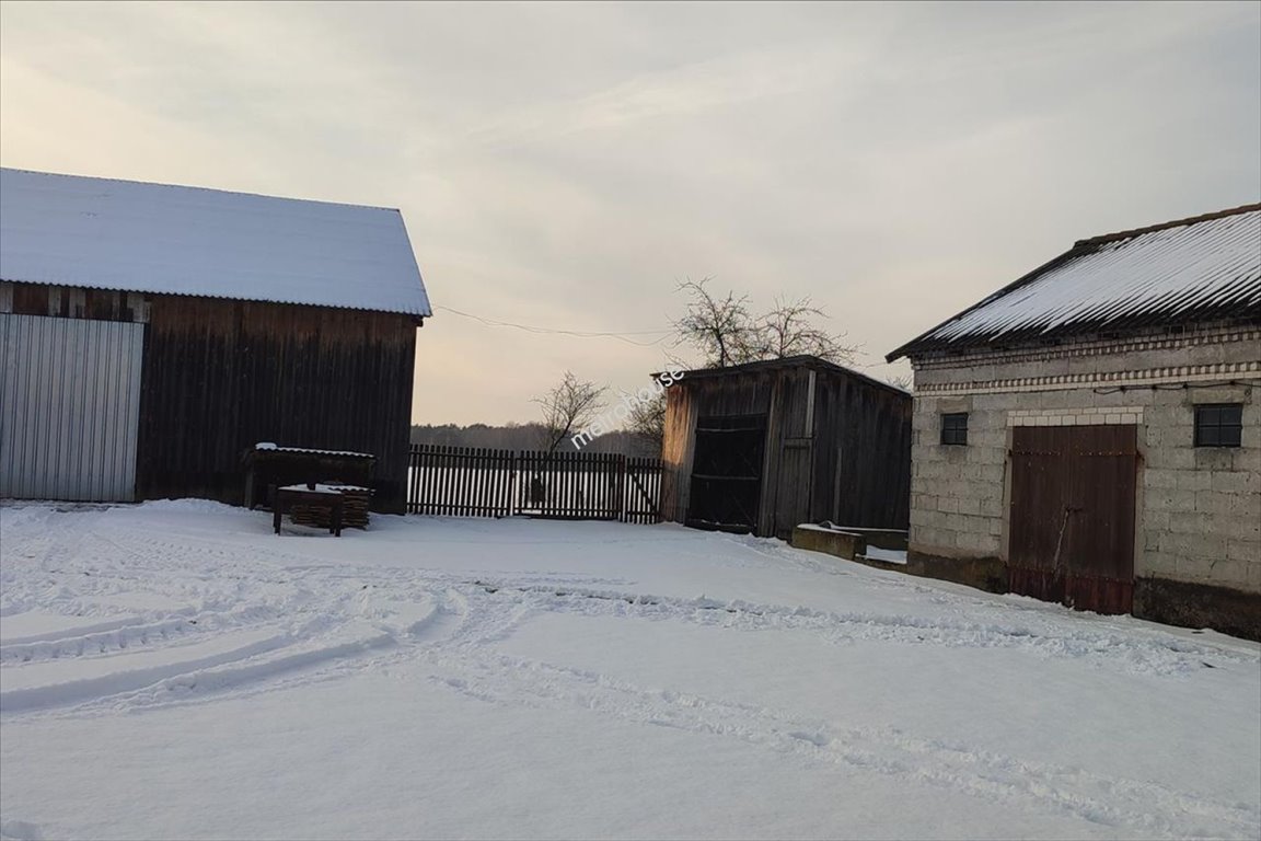 Działka rolna na sprzedaż Rozalin  86 600m2 Foto 3