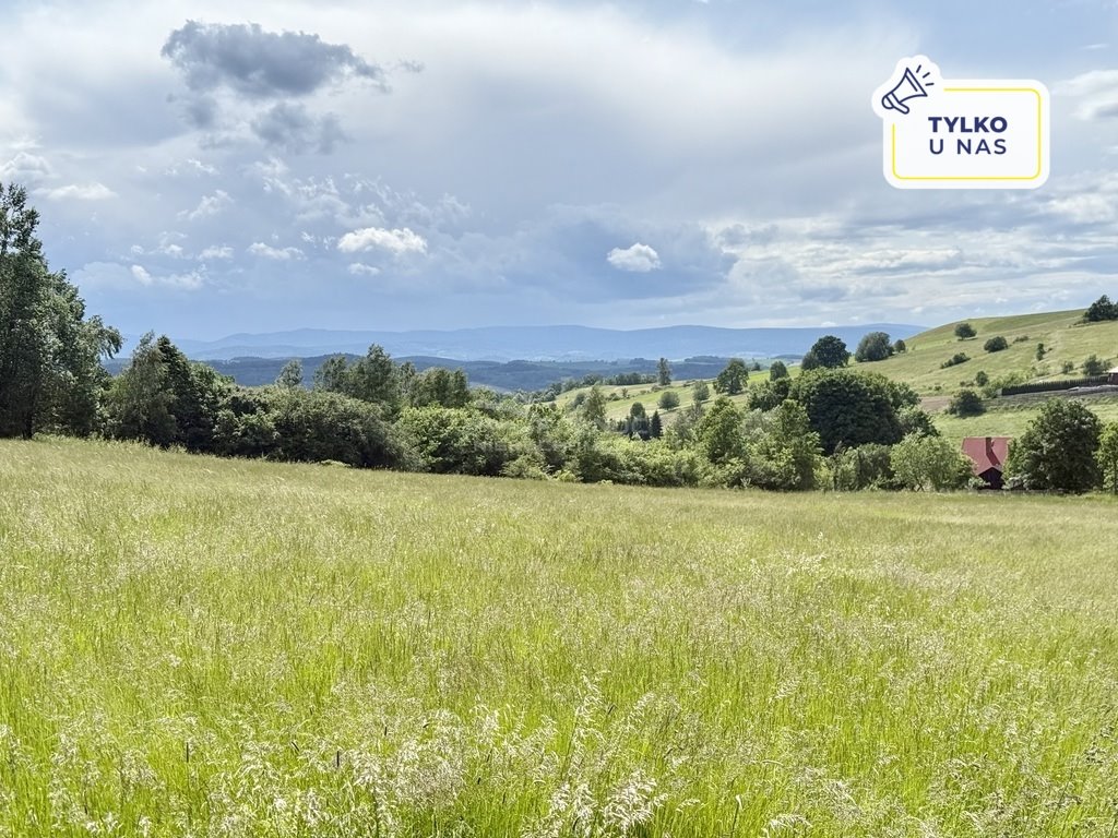 Działka budowlana na sprzedaż Jeżów Sudecki, Widokowa  1 610m2 Foto 1