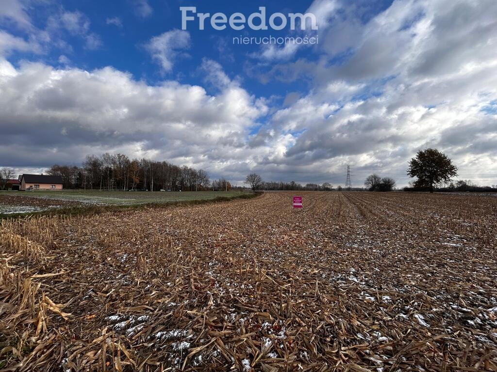 Działka rolna na sprzedaż Smolice, Przyległa  5 920m2 Foto 5