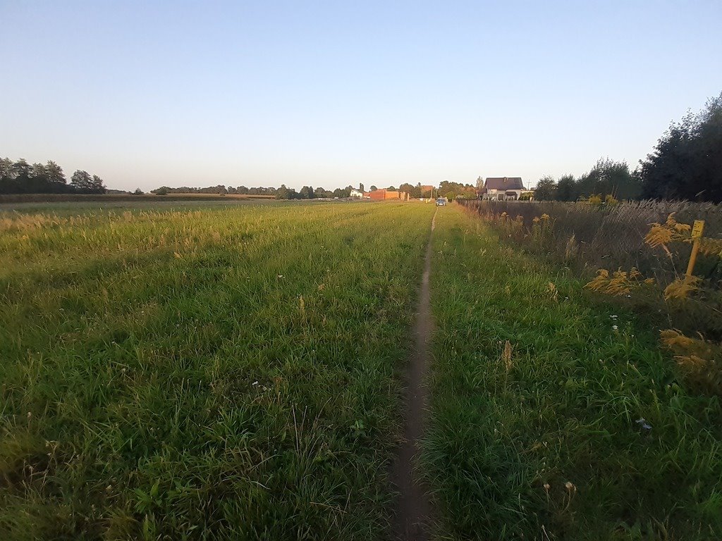 Działka budowlana na sprzedaż Czekanów, Piaskowa  805m2 Foto 13