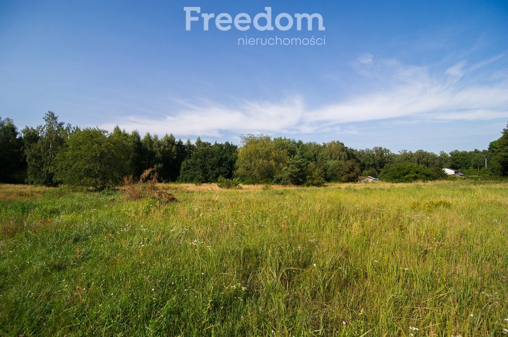 Działka budowlana na sprzedaż Junoszyno, Brzozowa  8 300m2 Foto 13