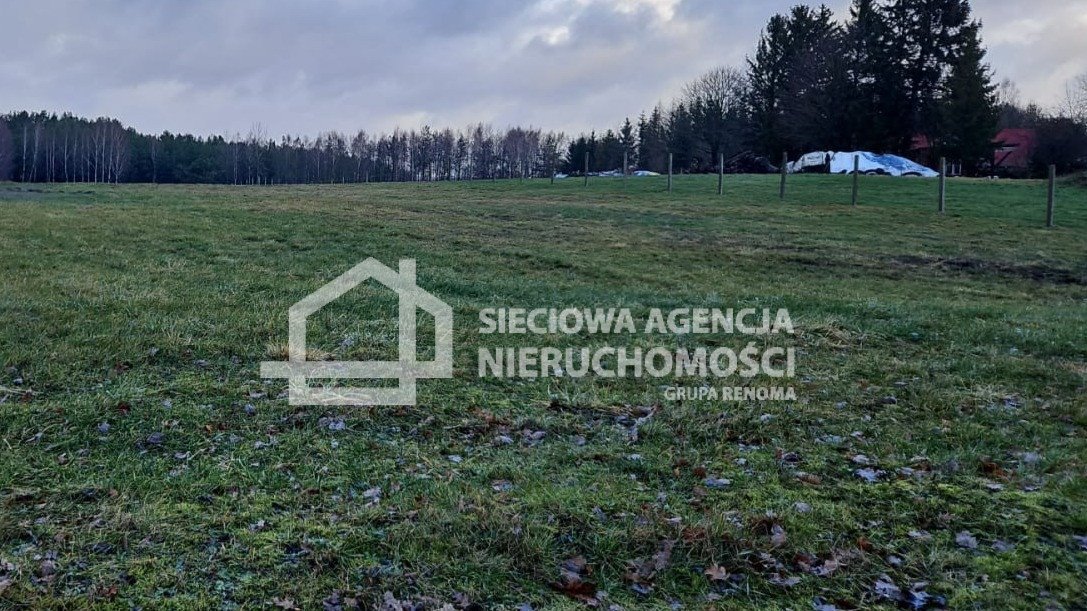 Działka rolna na sprzedaż Przęsin  3 000m2 Foto 5