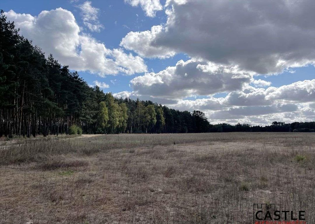 Działka budowlana na sprzedaż Trzciel  1 001m2 Foto 12