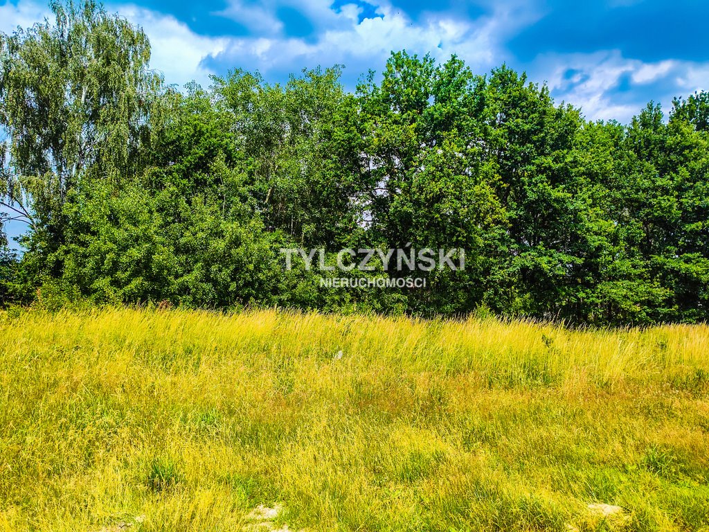 Działka budowlana na sprzedaż Kałęczyn  1 500m2 Foto 5