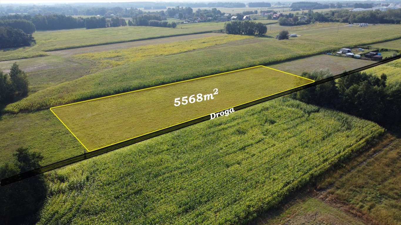 Działka rolna na sprzedaż Feliksów  5 568m2 Foto 3