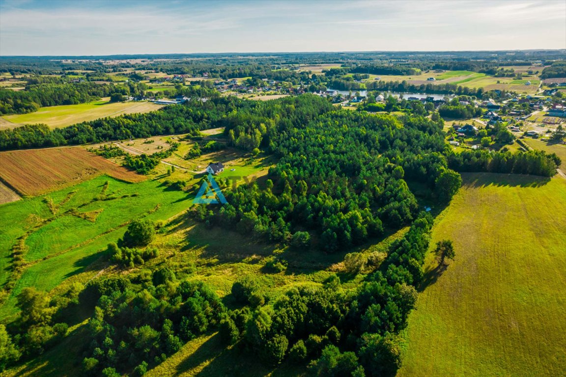 Działka siedliskowa na sprzedaż Rokity  15 313m2 Foto 3