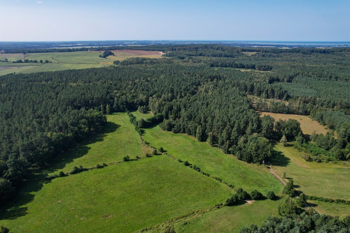 Działka budowlana na sprzedaż Lękwica  3 100m2 Foto 2