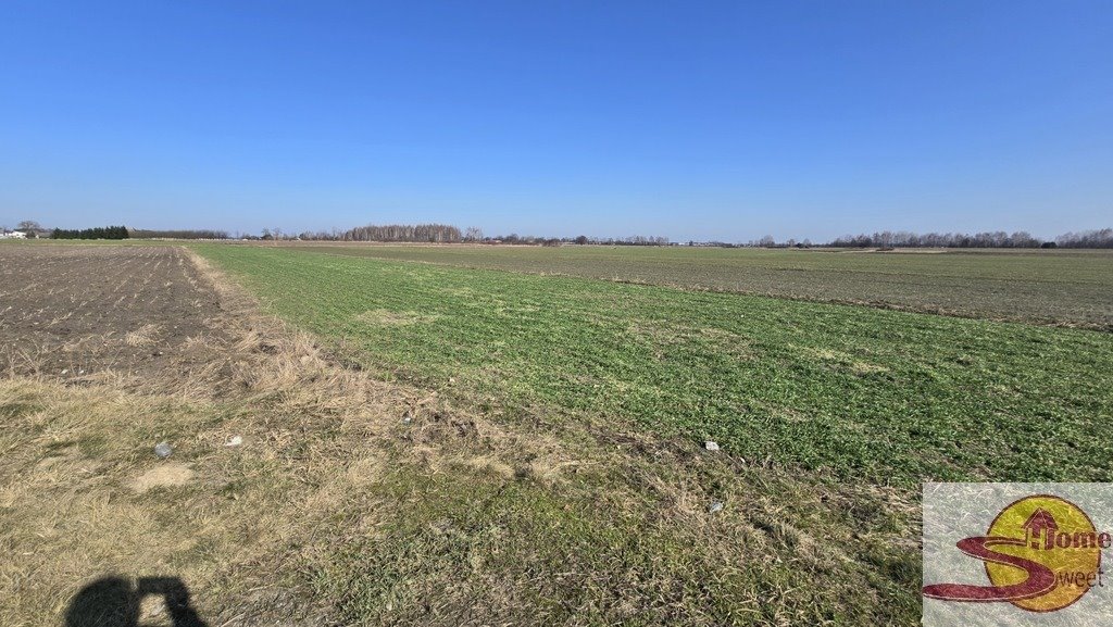 Działka rolna 2788 m² z dostępem do drogi gruntowej Kaszewska Wola  2 788m2 Foto 1