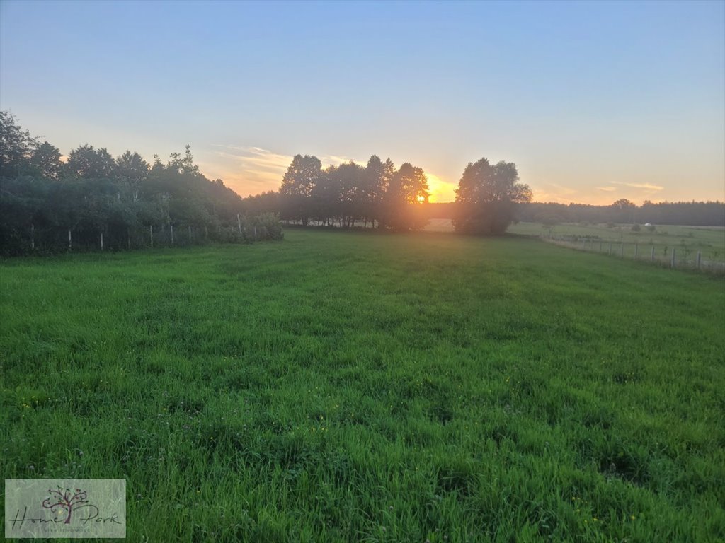 Działka inna na sprzedaż Bądków  4 790m2 Foto 1