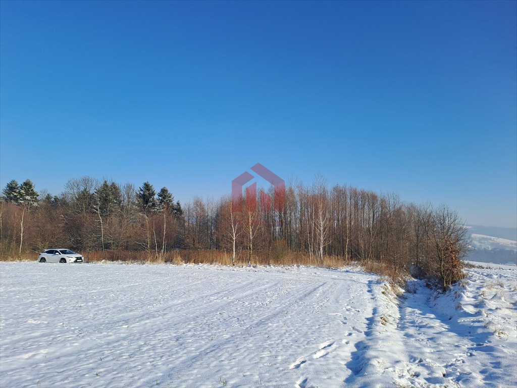 Działka budowlana na sprzedaż Żyznów  10 400m2 Foto 15