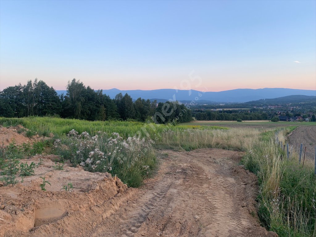 Działka budowlana na sprzedaż Jelenia Góra  1 335m2 Foto 4