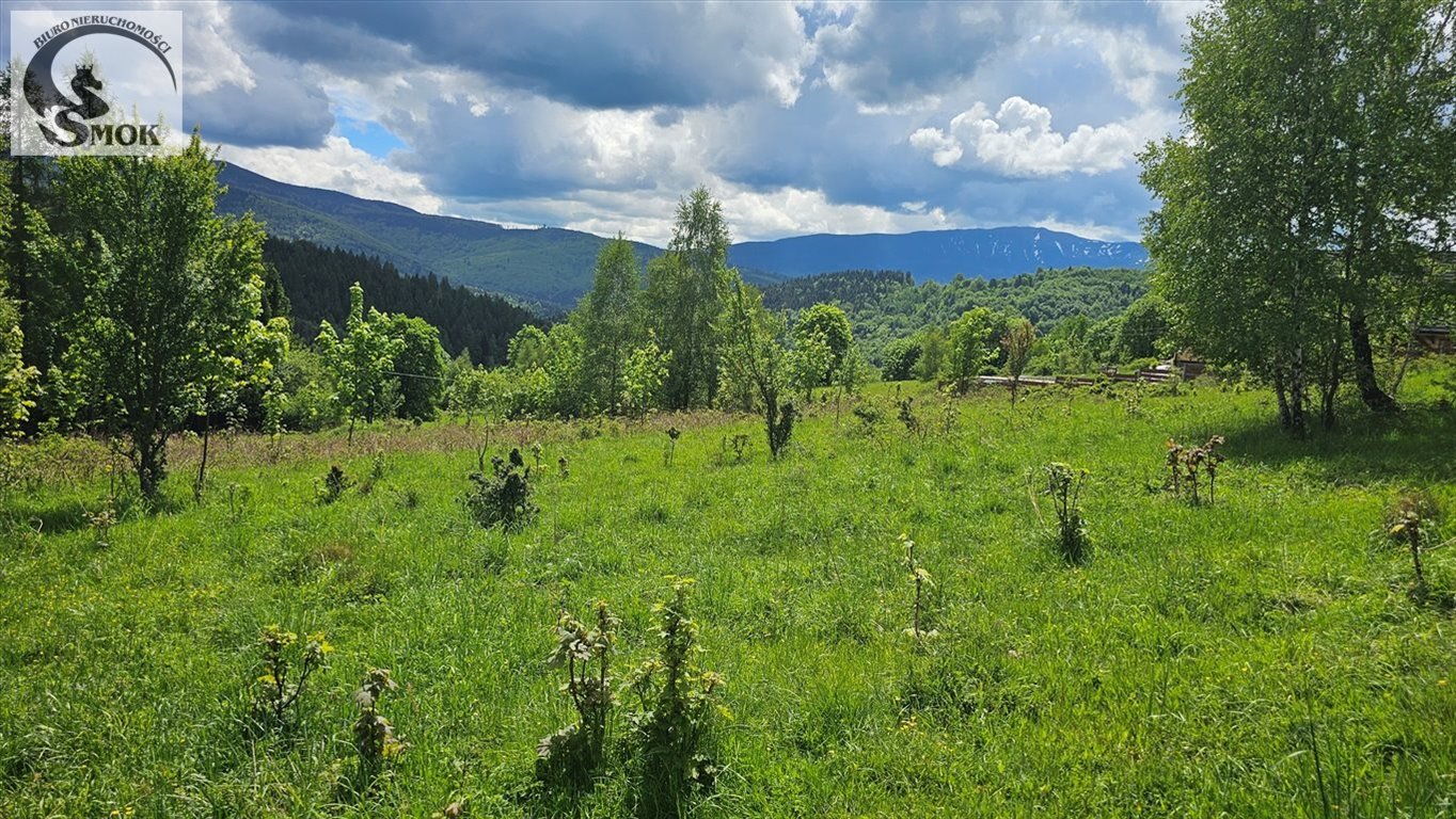 Działka budowlana na sprzedaż Jaworskie  3 250m2 Foto 3