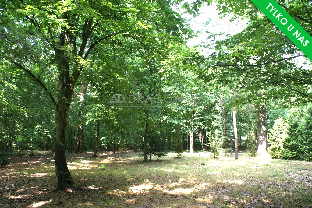 Działka budowlana na sprzedaż Podkowa Leśna 2 343m2 Foto 1 Działka budowlana na sprzedaż Podkowa Leśna 2 343m2 Foto 1