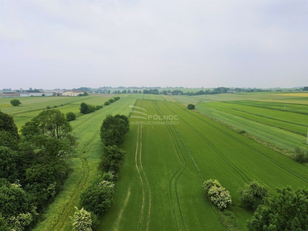 Dom na sprzedaż Łobzów  2 000m2 Foto 15