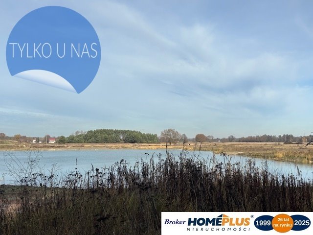 Działka inwestycyjna na sprzedaż Borki  77 800m2 Foto 1