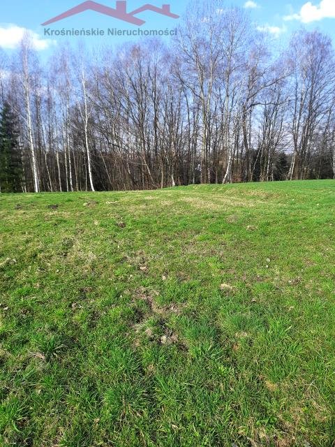 Do sprzedania działka 21 arów z dojazdem asfaltowym w Korczynie Korczyna  2 100m2 Foto 1