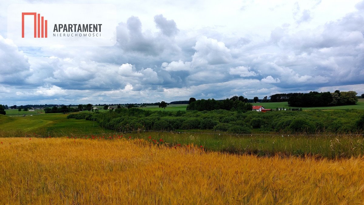 Działka budowlana na sprzedaż Jeleń  5 141m2 Foto 10