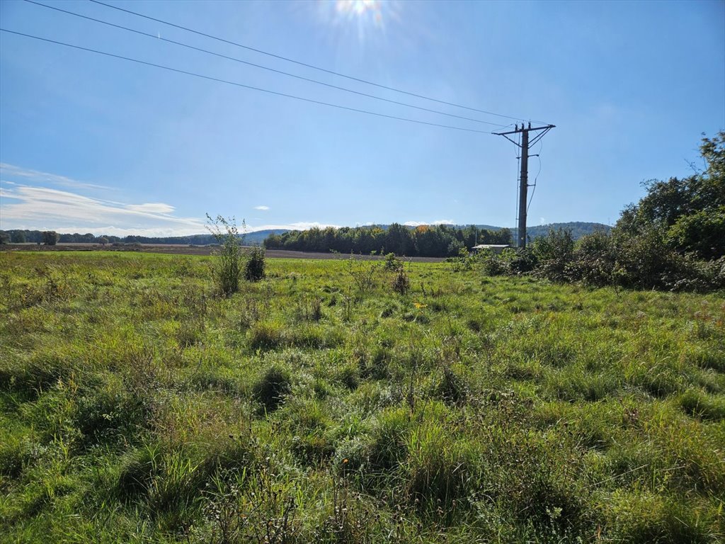 Działka inna na sprzedaż Szymanów  1 230m2 Foto 5