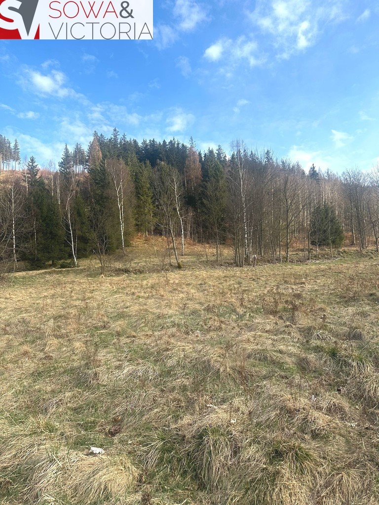 Działka budowlana na sprzedaż Leszczyniec  1 500m2 Foto 6