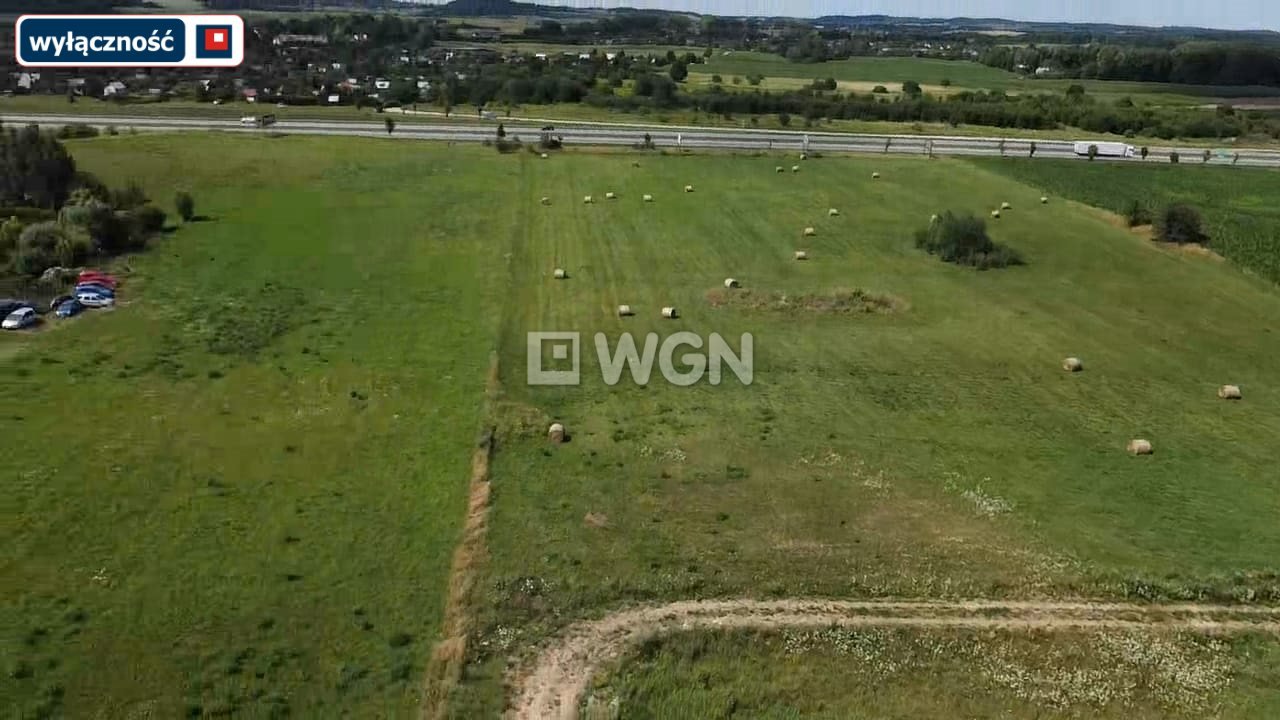 Działka inna na sprzedaż Konieczki  3 000m2 Foto 3