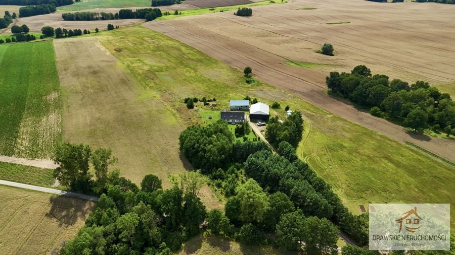 Działka rolna na sprzedaż Zagórzyce, Zagórzyce  10 800m2 Foto 4