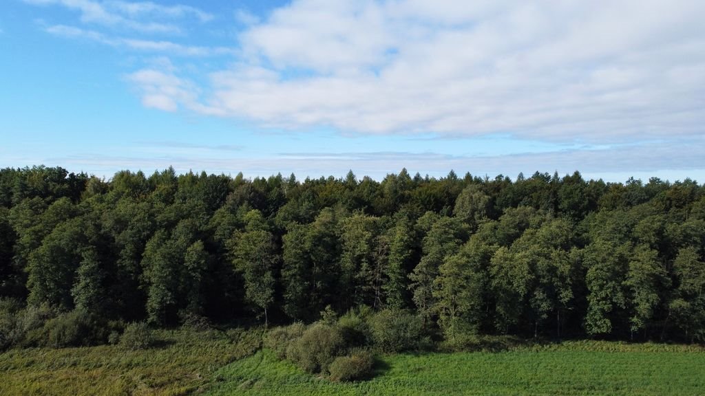 Działka leśna na sprzedaż Cieplice  27 000m2 Foto 3