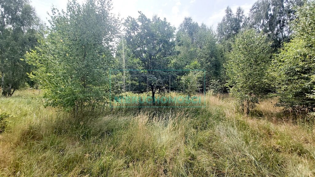 Działka rolna na sprzedaż Korabiewice  56 000m2 Foto 1