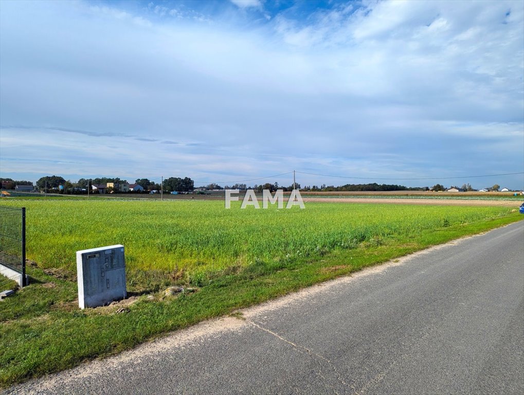 Działka budowlana na sprzedaż Dobrzyń nad Wisłą, Krojczyn  3 000m2 Foto 1