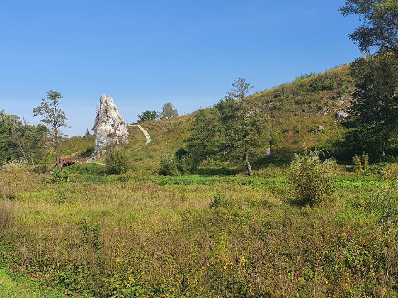 Działka budowlana 3248 m² w Zawadzie - spokojna okolica Mstów, Zawada  3 248m2 Foto 1