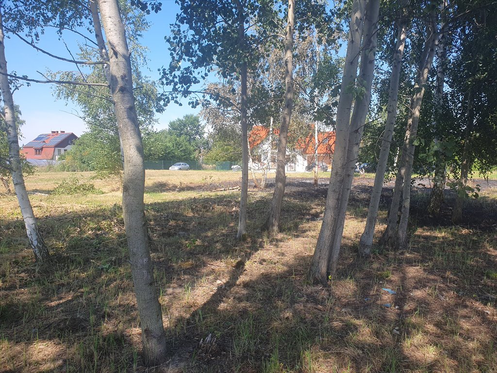 Zdjęcie 4