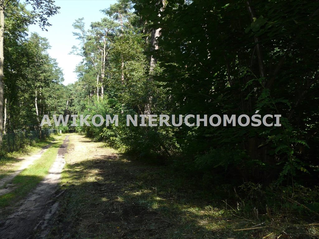 Działka 4034 m² w Olszance z unikalnym drzewostanem zapraszam Olszanka  4 034m2 Foto 1