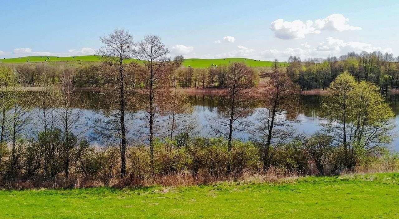 Działka budowlana na sprzedaż Miłki  10 002m2 Foto 11