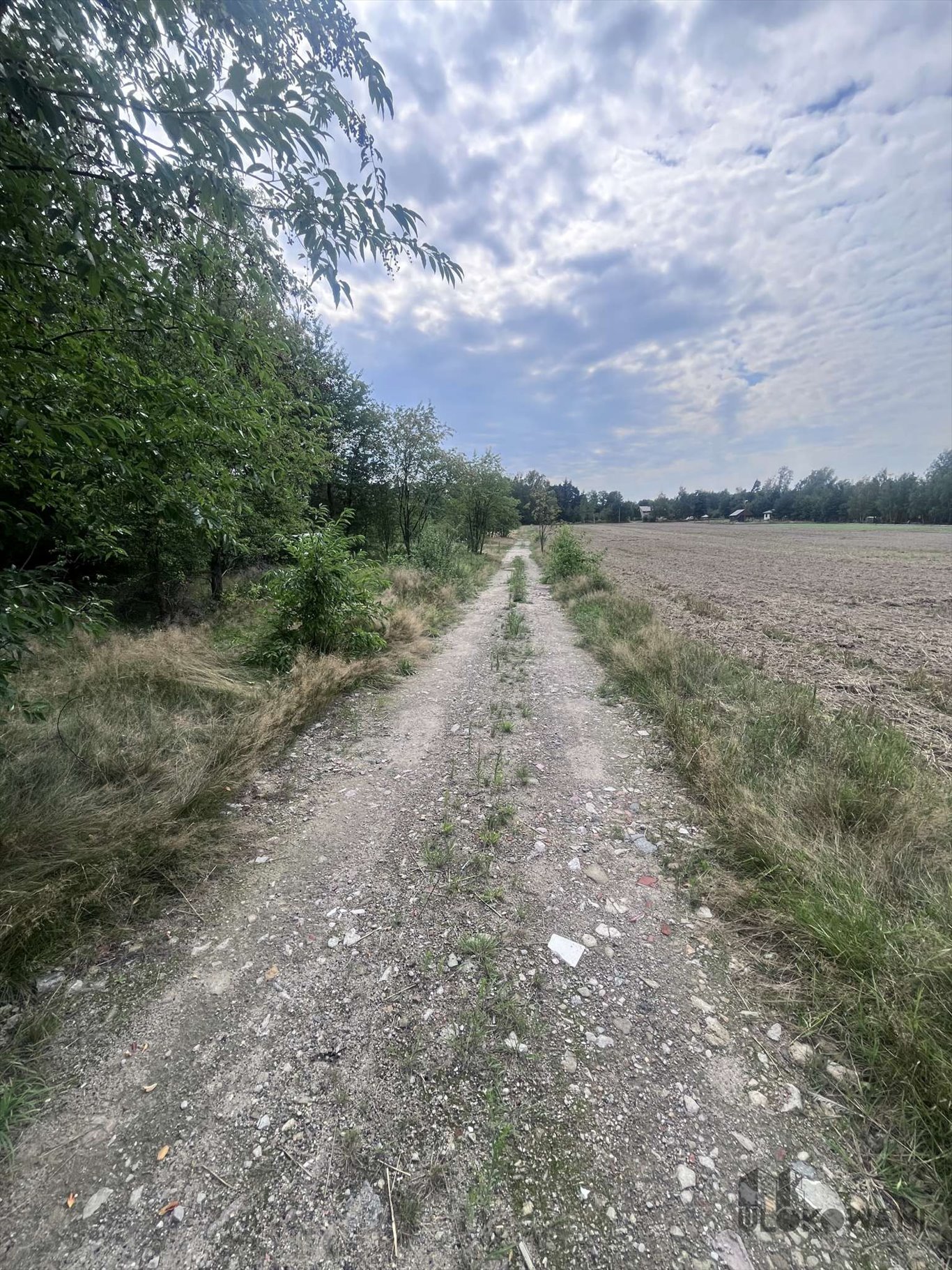 Działka budowlana na sprzedaż Zalesie, Zalesie, Grodziska  1 000m2 Foto 6