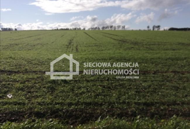 Działka 8 200 m² z warunkami zabudowy, piękne widoki Białogarda  8 200m2 Foto 1