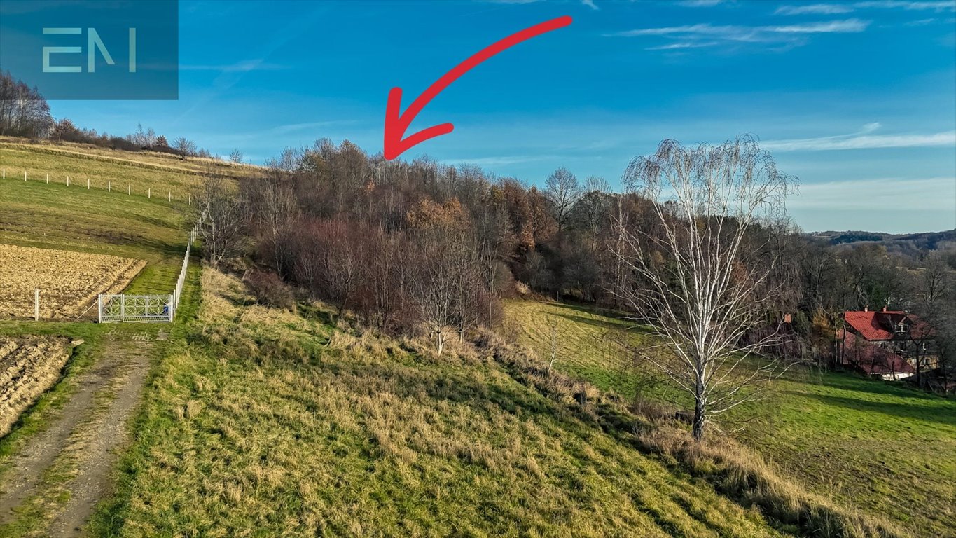 Działka budowlana na sprzedaż Lubenia  2 800m2 Foto 3