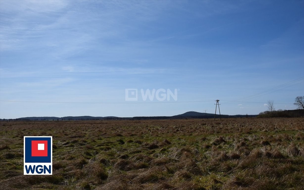 Działka budowlana na sprzedaż Smołdziński Las, Smołdziński Las  1 765m2 Foto 9