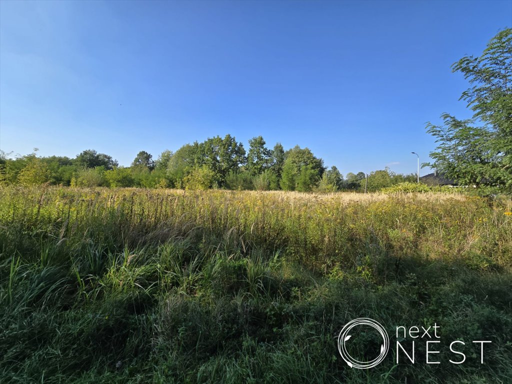 Działka budowlana na sprzedaż Rusiec, Turkusowa  1 050m2 Foto 3