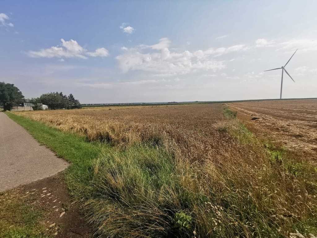 Działka budowlana na sprzedaż Wielowieś  2 000m2 Foto 1