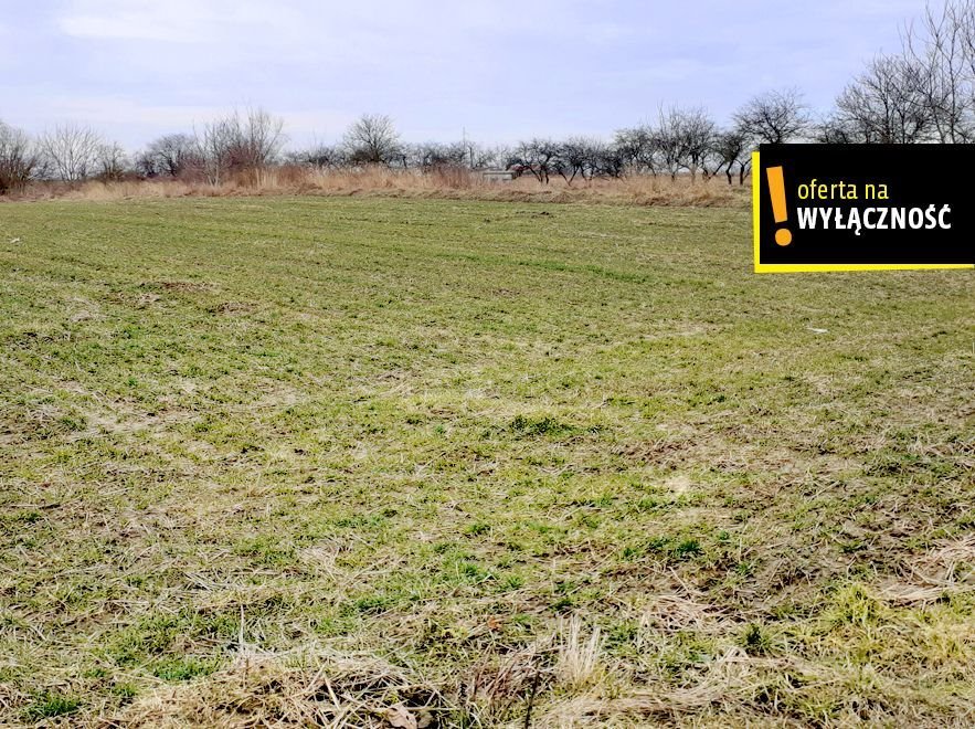 Działka rolna na sprzedaż Osówka  82 000m2 Foto 1