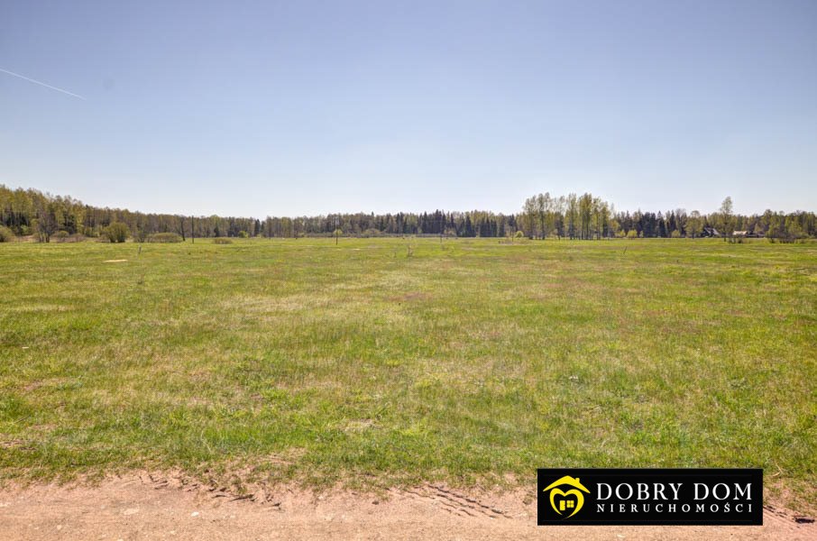 Działka 6700 m2 w Gruszkach – idealna na wymarzoną oazę Gruszki  6 700m2 Foto 1