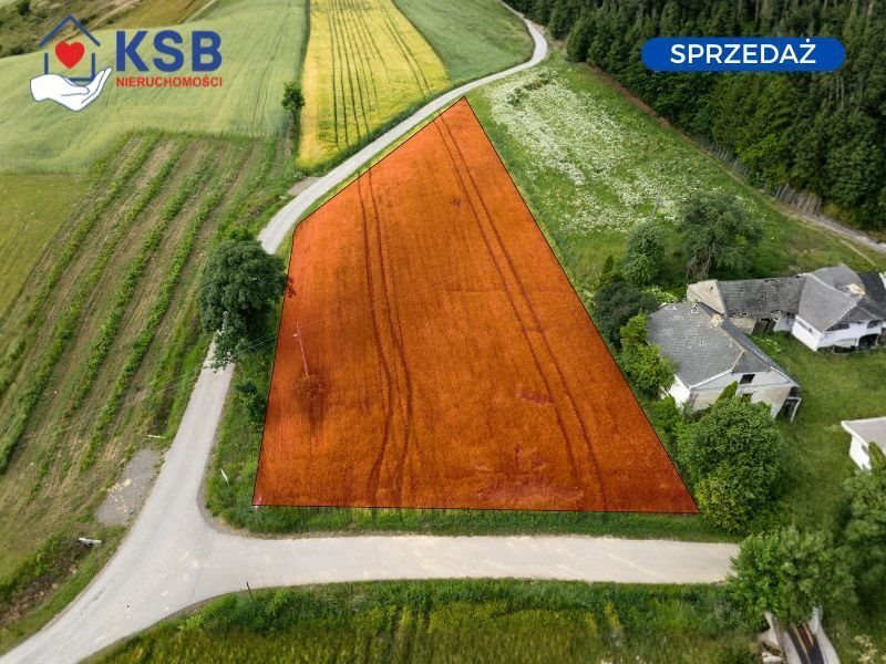 Działka budowlana 2500 m² w Czajęcicach z warunkami zabudowy Czajęcice  2 500m2 Foto 1