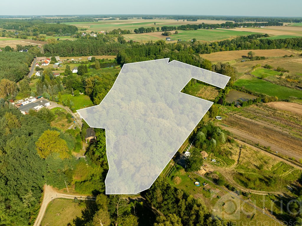 Działka budowlana na sprzedaż Stawno  29 200m2 Foto 4