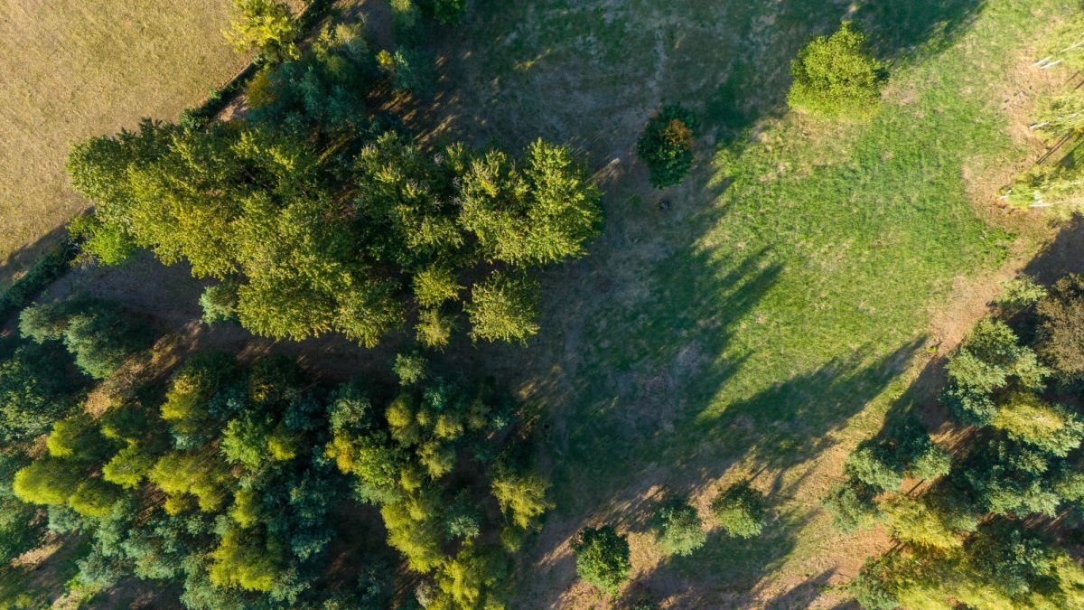 Działka budowlana na sprzedaż Koszęcin, Słowików  527m2 Foto 9